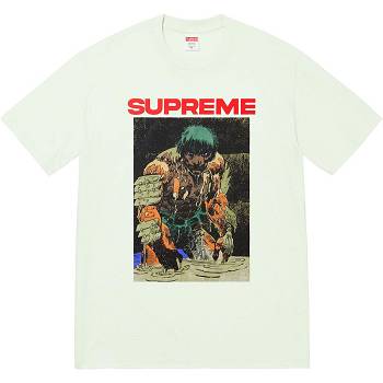 Mint Supreme Ronin Tee T Shirts | UK353EX